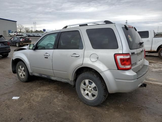 2011 Ford Escape Limited