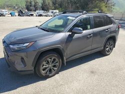 Salvage cars for sale at Van Nuys, CA auction: 2023 Toyota Rav4 XLE Premium