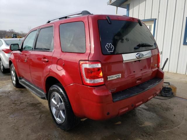 2011 Ford Escape Limited