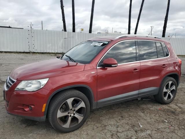 2010 Volkswagen Tiguan S