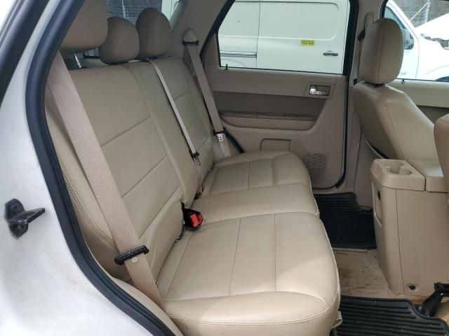 2011 Ford Escape Limited