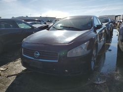 Salvage cars for sale at Martinez, CA auction: 2013 Nissan Maxima S