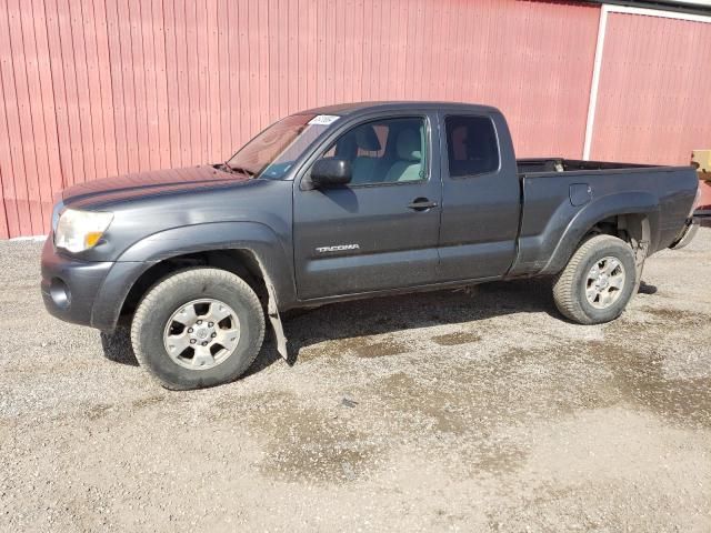 2009 Toyota Tacoma Access Cab