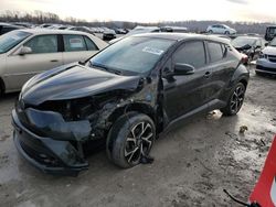 Toyota C-HR salvage cars for sale: 2019 Toyota C-HR XLE