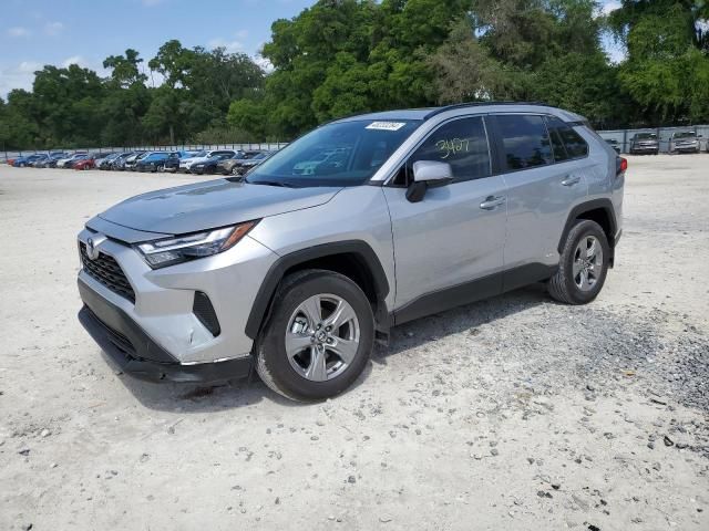 2024 Toyota Rav4 XLE