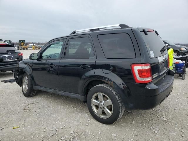 2012 Ford Escape Limited