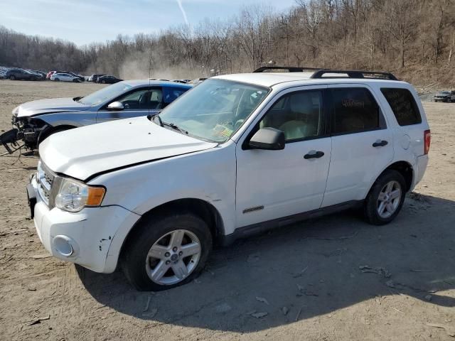 2008 Ford Escape HEV