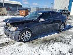 Lexus IS 250 Vehiculos salvage en venta: 2009 Lexus IS 250