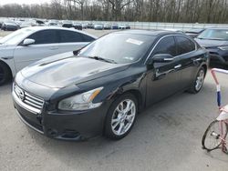 Salvage cars for sale from Copart Glassboro, NJ: 2014 Nissan Maxima S