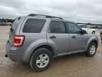 2008 Ford Escape HEV