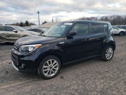 Salvage cars for sale at Chalfont, PA auction: 2019 KIA Soul +