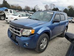 Ford Vehiculos salvage en venta: 2009 Ford Escape XLT