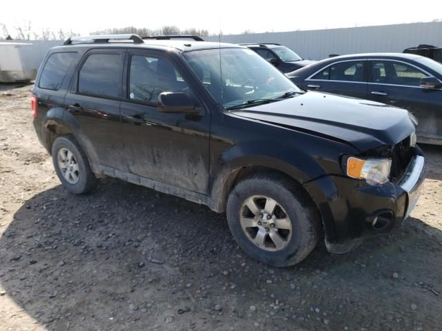 2010 Ford Escape Limited