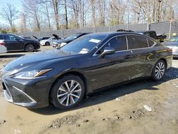 Salvage cars for sale at Waldorf, MD auction: 2021 Lexus ES 350 Base