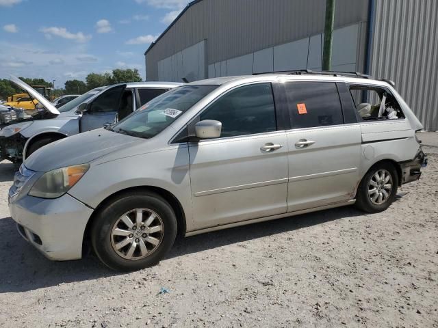 2008 Honda Odyssey EXL