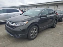 Salvage cars for sale from Copart Louisville, KY: 2019 Honda CR-V EX