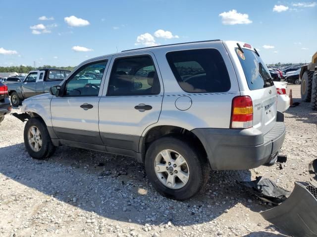 2005 Ford Escape XLT