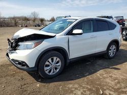 Salvage cars for sale at Columbia Station, OH auction: 2013 Honda CR-V EX