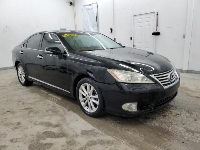 2010 Lexus ES 350