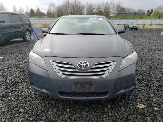 2009 Toyota Camry Hybrid