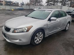 Salvage cars for sale at New Britain, CT auction: 2009 Honda Accord EXL