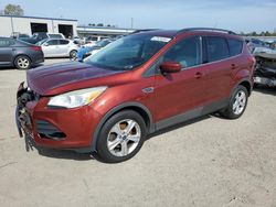 Salvage cars for sale at Harleyville, SC auction: 2014 Ford Escape SE