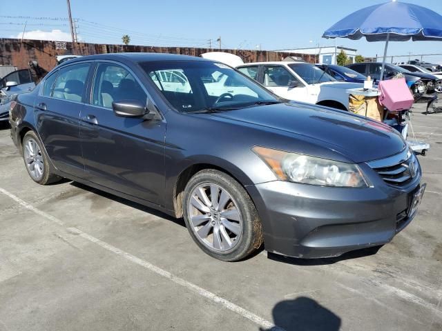 2011 Honda Accord EXL