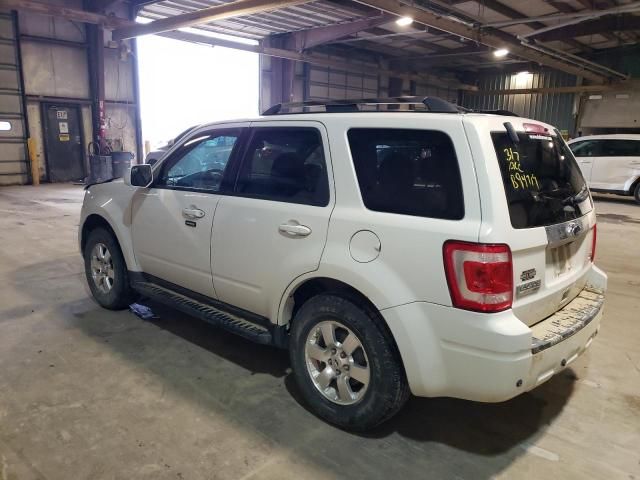 2011 Ford Escape Limited