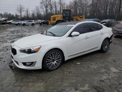 KIA Cadenza salvage cars for sale: 2014 KIA Cadenza Premium