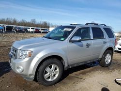 Ford Escape XLT salvage cars for sale: 2011 Ford Escape XLT