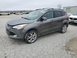 Ford salvage cars for sale: 2013 Ford Escape SEL