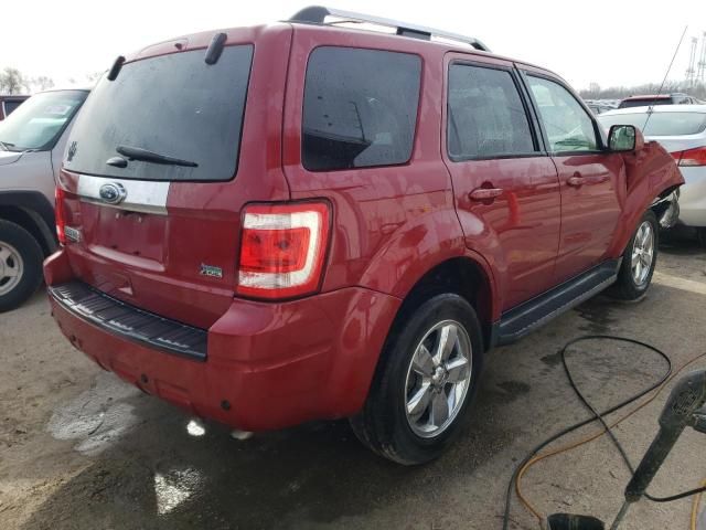 2011 Ford Escape Limited