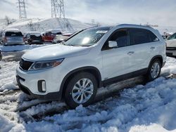 Salvage cars for sale at Littleton, CO auction: 2015 KIA Sorento EX