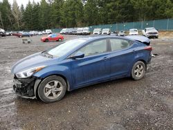 2015 Hyundai Elantra SE for sale in Graham, WA