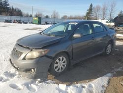 Toyota salvage cars for sale: 2010 Toyota Corolla Base