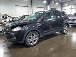 Ford salvage cars for sale: 2013 Ford Escape SEL