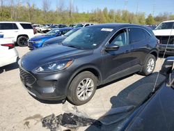 Salvage cars for sale at Cahokia Heights, IL auction: 2020 Ford Escape SE