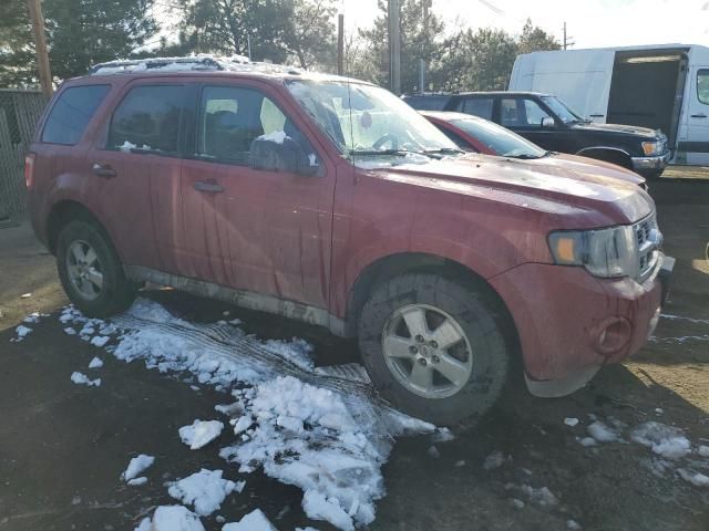 2009 Ford Escape XLT