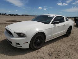 Salvage cars for sale at Houston, TX auction: 2013 Ford Mustang
