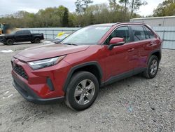 Salvage cars for sale from Copart Augusta, GA: 2023 Toyota Rav4 XLE