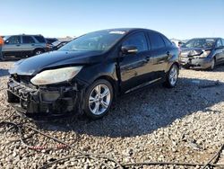 Ford Focus SE salvage cars for sale: 2014 Ford Focus SE