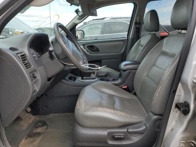 2006 Ford Escape XLT