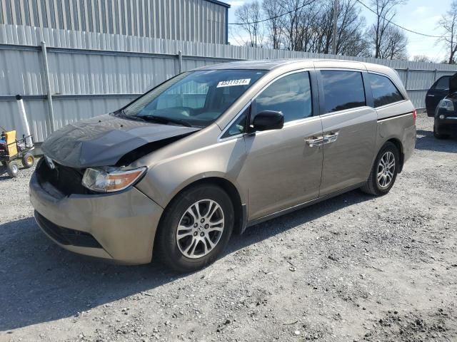 2013 Honda Odyssey EXL