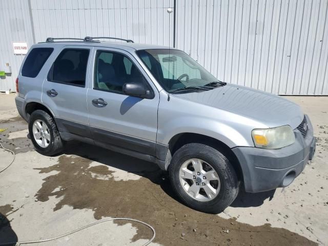 2005 Ford Escape XLT