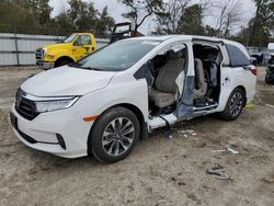 Salvage cars for sale at Hampton, VA auction: 2023 Honda Odyssey EXL