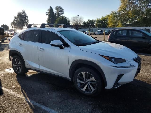 2021 Lexus NX 300H Base