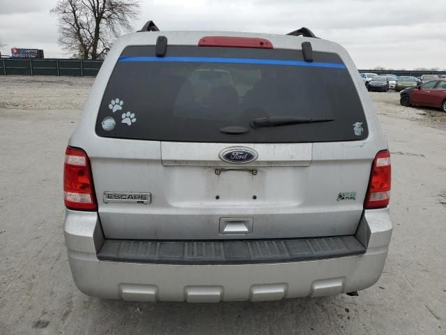 2011 Ford Escape XLT