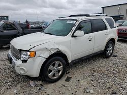 Ford Escape Limited salvage cars for sale: 2011 Ford Escape Limited