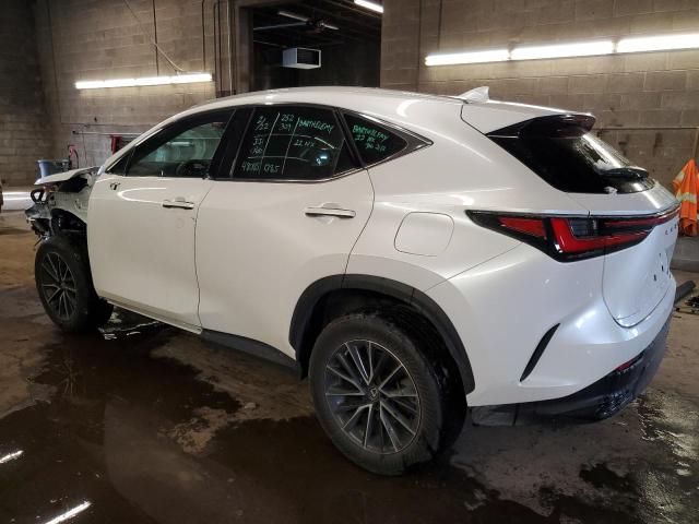 2022 Lexus NX 250