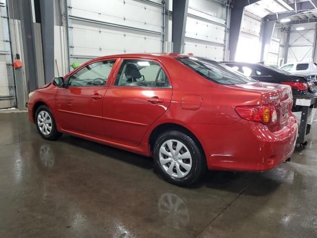 2010 Toyota Corolla Base